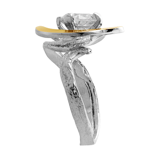 Silver and Gold Ring