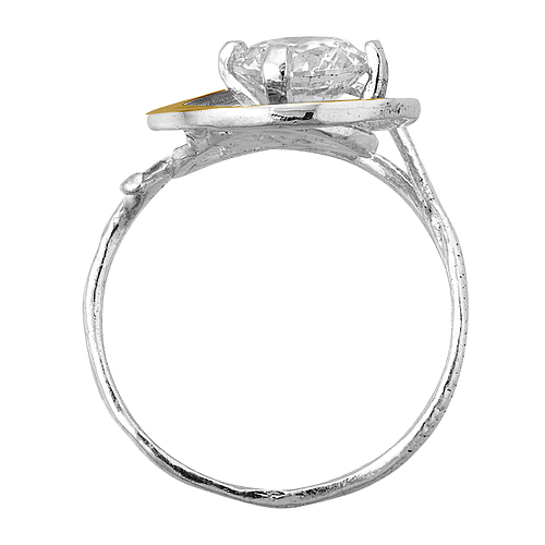 Silver and Gold Ring