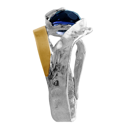 Silver and Gold Ring