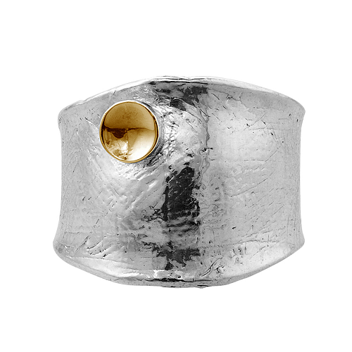 Silver and Gold Ring