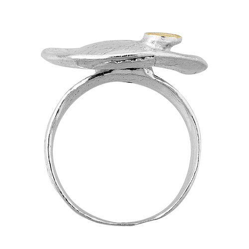 Silver and Gold Ring