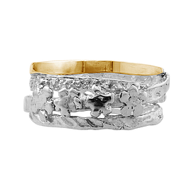 Silver and Gold Ring