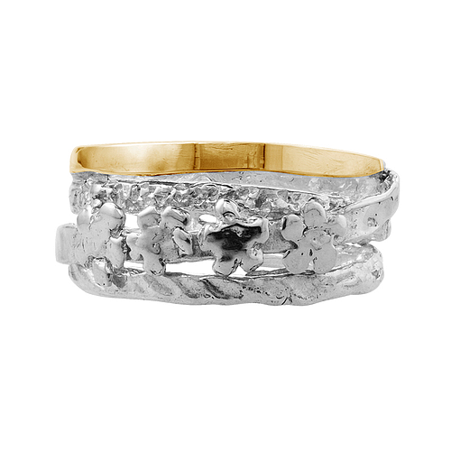 Silver and Gold Ring