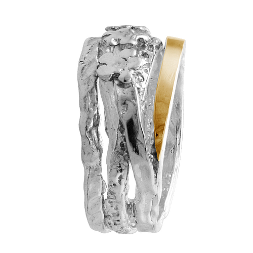 Silver and Gold Ring