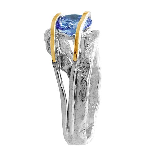 Silver and Gold Ring