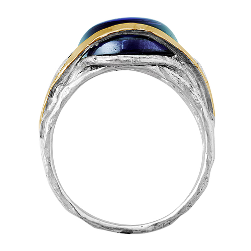 Silver and Gold Ring