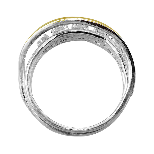 Silver and Gold Ring