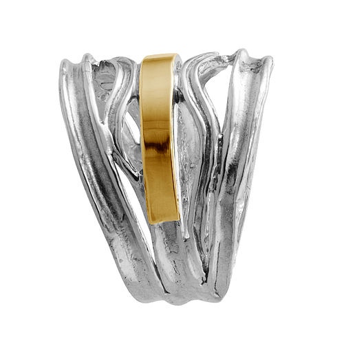 Silver and Gold Ring