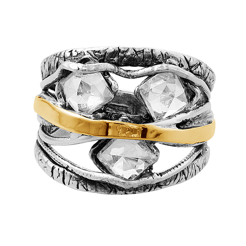 Silver and Gold Ring