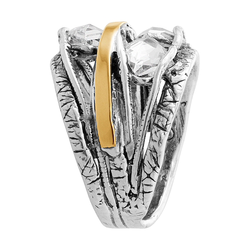 Silver and Gold Ring