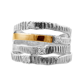 Silver and Gold Ring