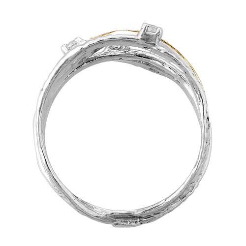 Silver and Gold Ring