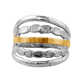 Silver and Gold Ring