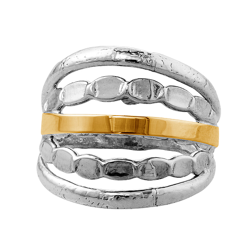 Silver and Gold Ring