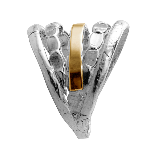 Silver and Gold Ring