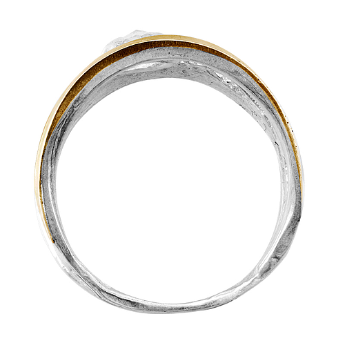 Silver and Gold Ring