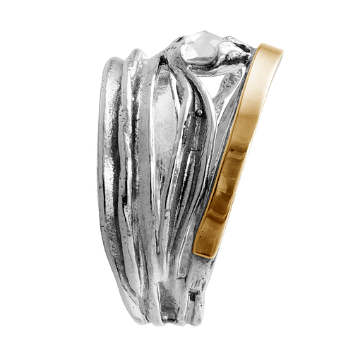 Silver and Gold Ring