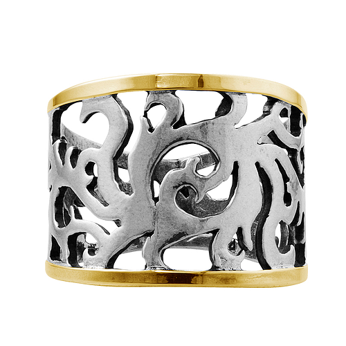 Silver and Gold Ring