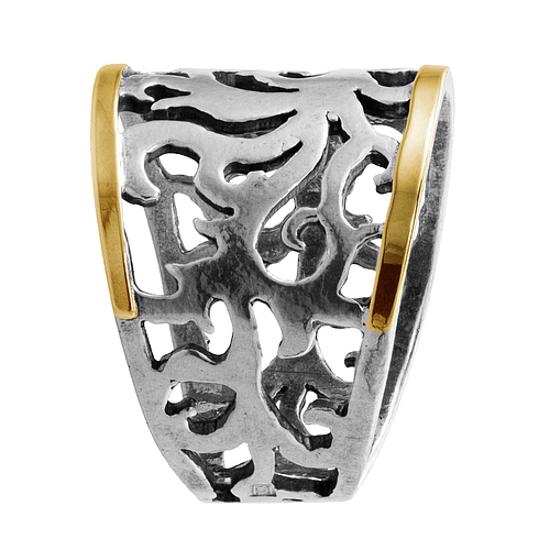 Silver and Gold Ring