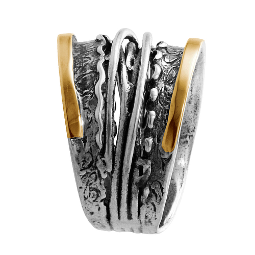 Silver and Gold Ring