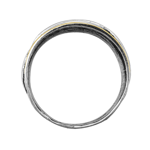 Silver and Gold Ring