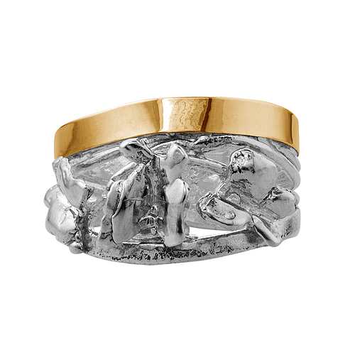 Silver and Gold Ring