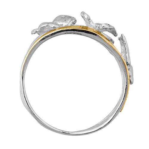 Silver and Gold Ring