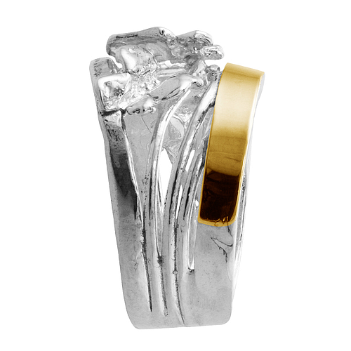 Silver and Gold Ring
