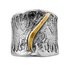 Silver and Gold Ring