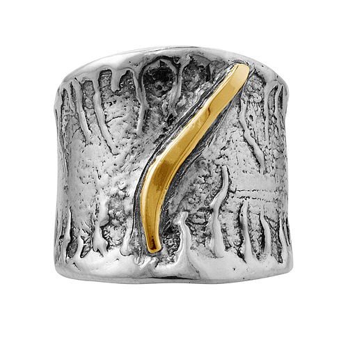 Silver and Gold Ring