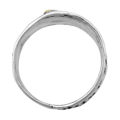 Silver and Gold Ring