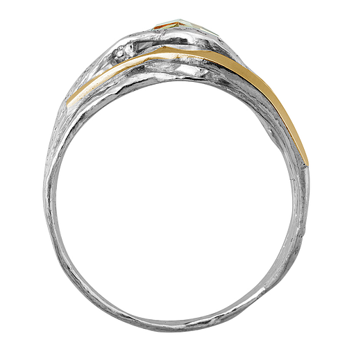 Silver and Gold Ring