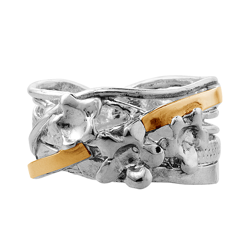 Silver and Gold Ring