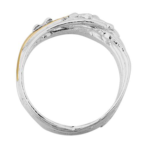 Silver and Gold Ring