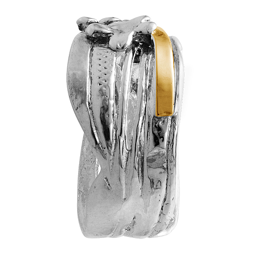 Silver and Gold Ring