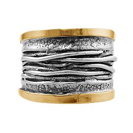 Silver and Gold Ring