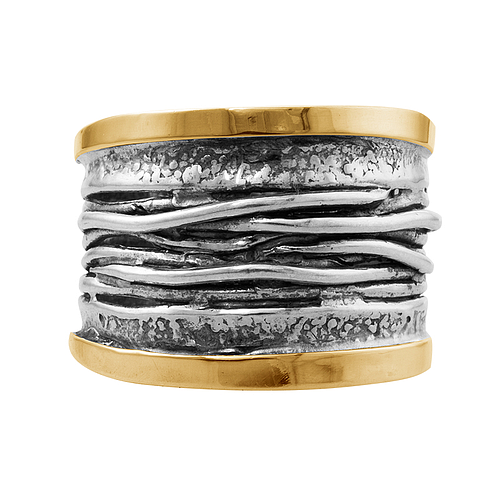 Silver and Gold Ring