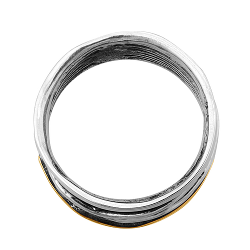 Silver and Gold Ring