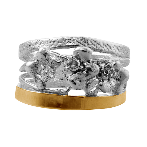 Silver and Gold Ring