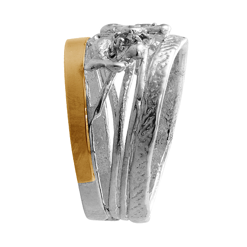 Silver and Gold Ring