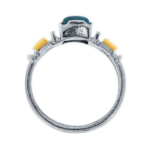 Silver and Gold Ring