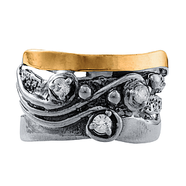 Silver and Gold Ring