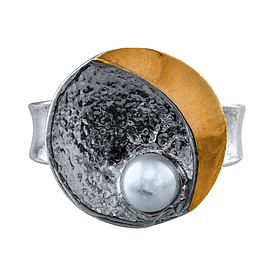 Silver and Gold Ring