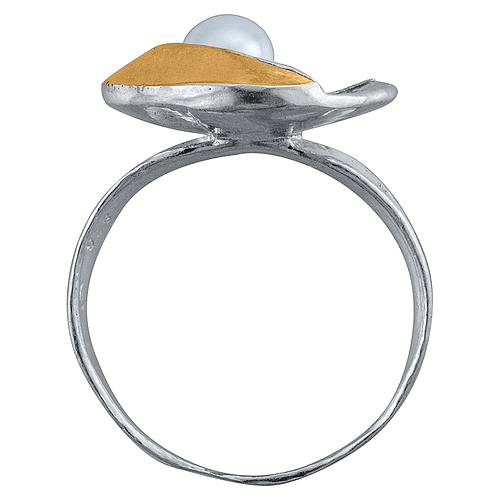 Silver and Gold Ring