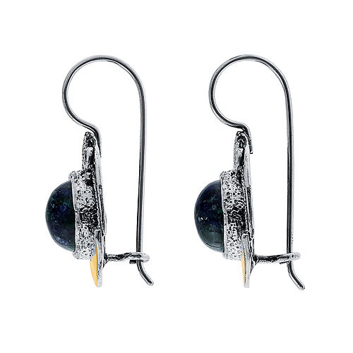 Silver and Gold Earrings