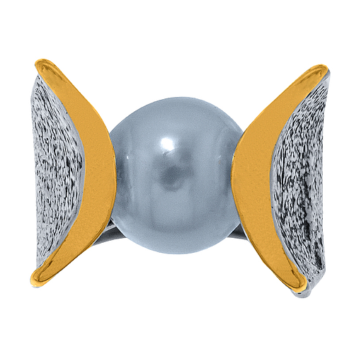 Silver and Gold Ring