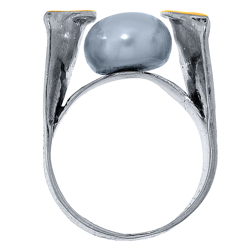 Silver and Gold Ring