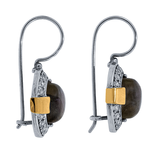 Silver and Gold Earrings