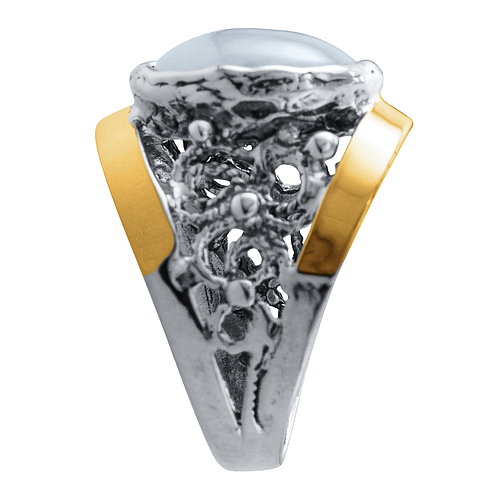 Silver and Gold Ring