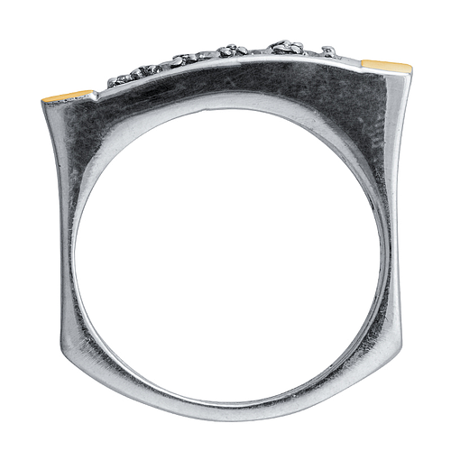 Silver and Gold Ring